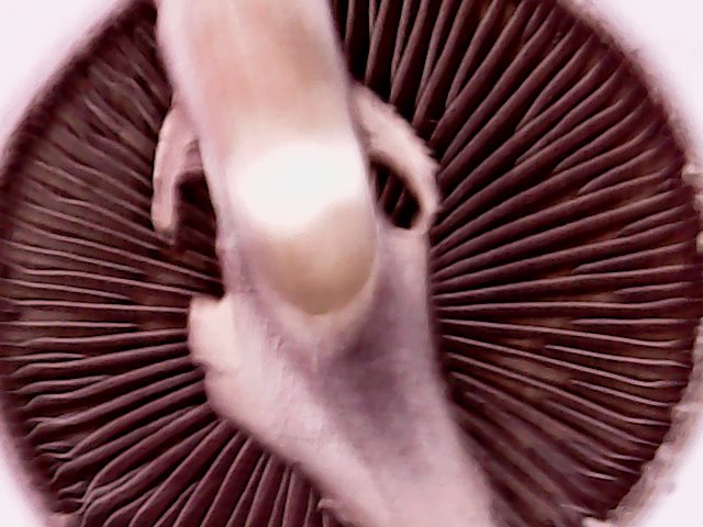 Sun Mar 20 10-40-30.jpg