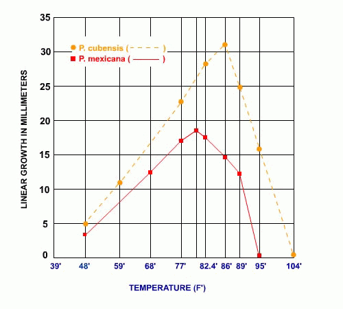 temperatura na taxa de crescimento do micélio