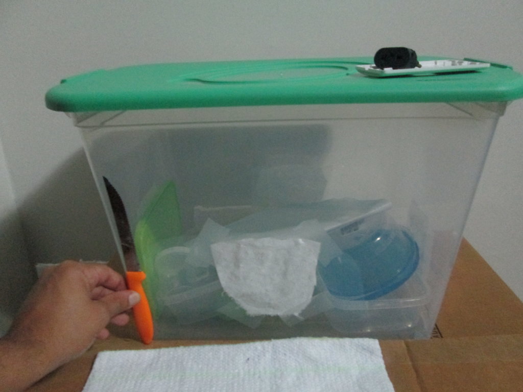 Terráio dos casings.JPG