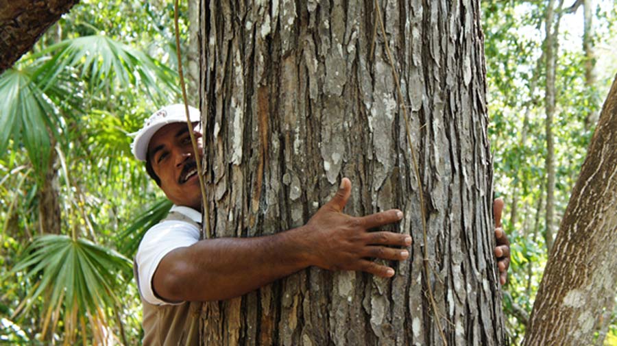 tree-huggers.jpg