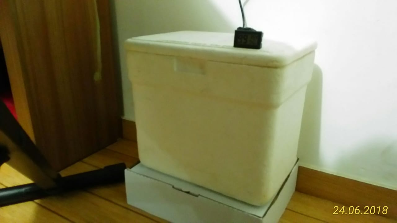 WhatsApp Image 2018-06-24 at 19.28.02.jpeg