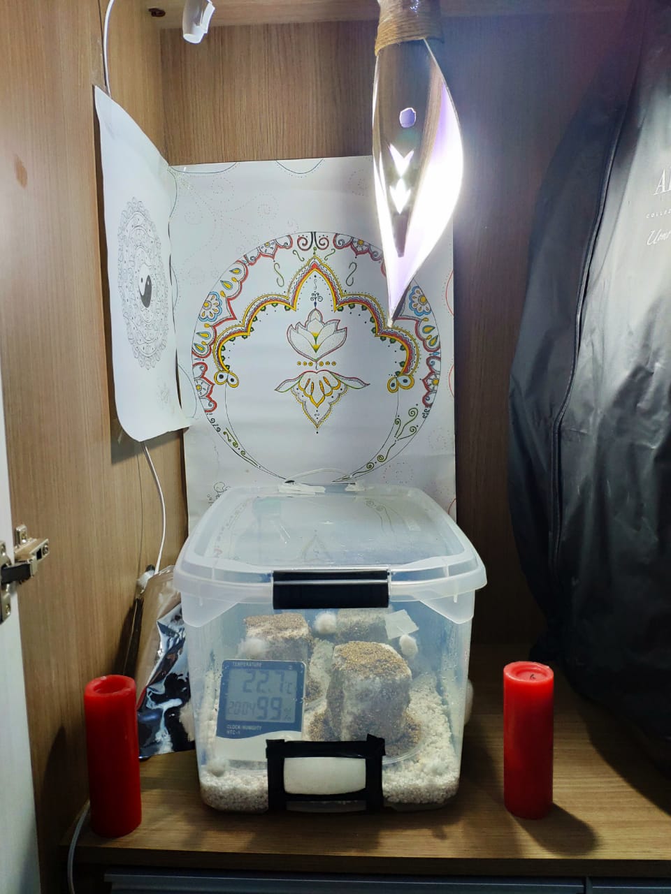 WhatsApp Image 2019-06-18 at 20.08.27.jpeg