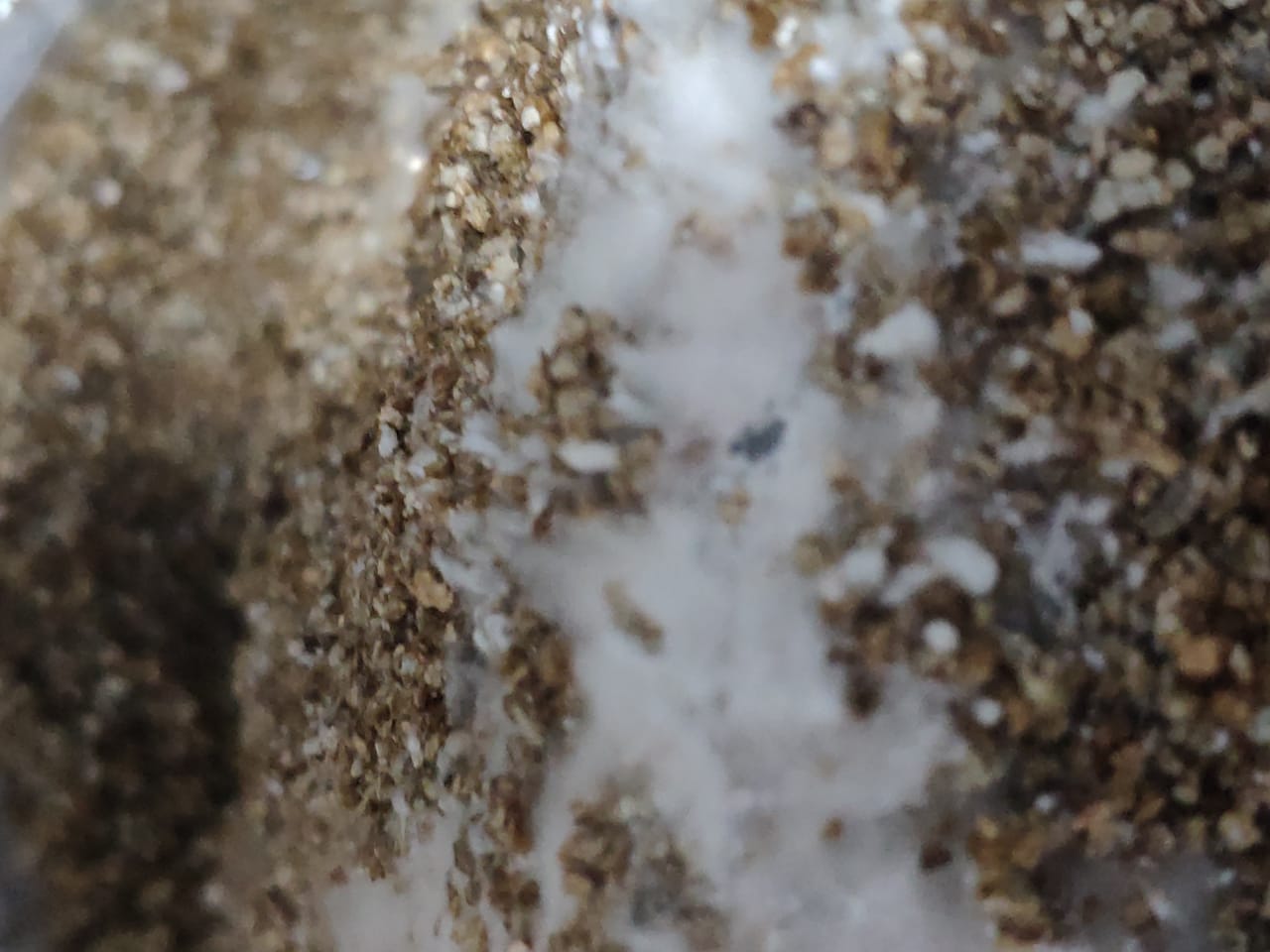 WhatsApp Image 2019-06-21 at 13.38.46 (1).jpeg