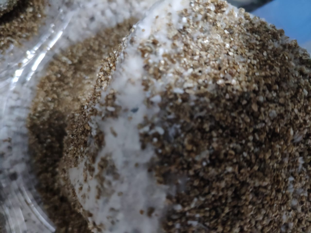 WhatsApp Image 2019-06-21 at 13.38.46.jpeg