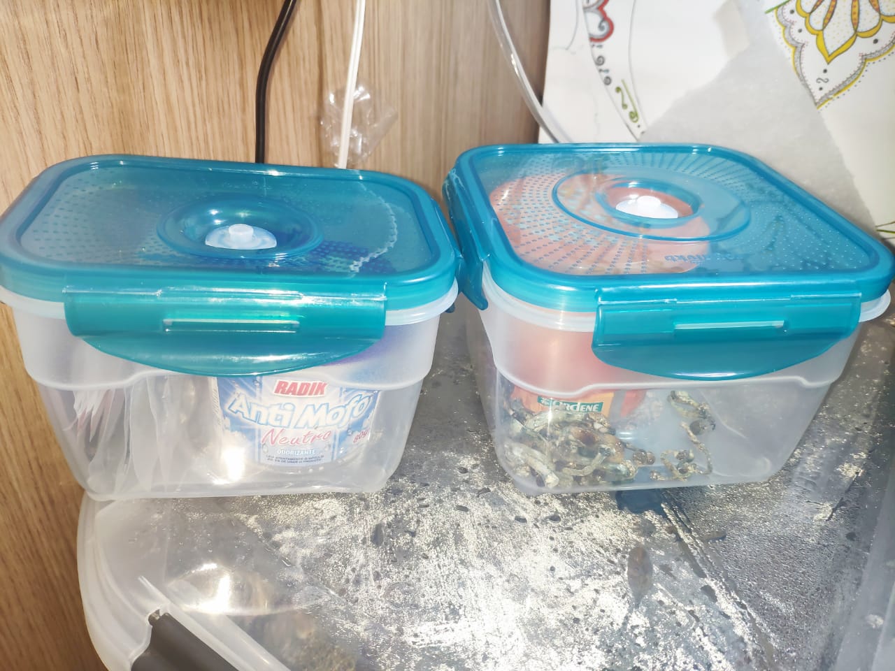 WhatsApp Image 2019-07-02 at 08.21.55.jpeg