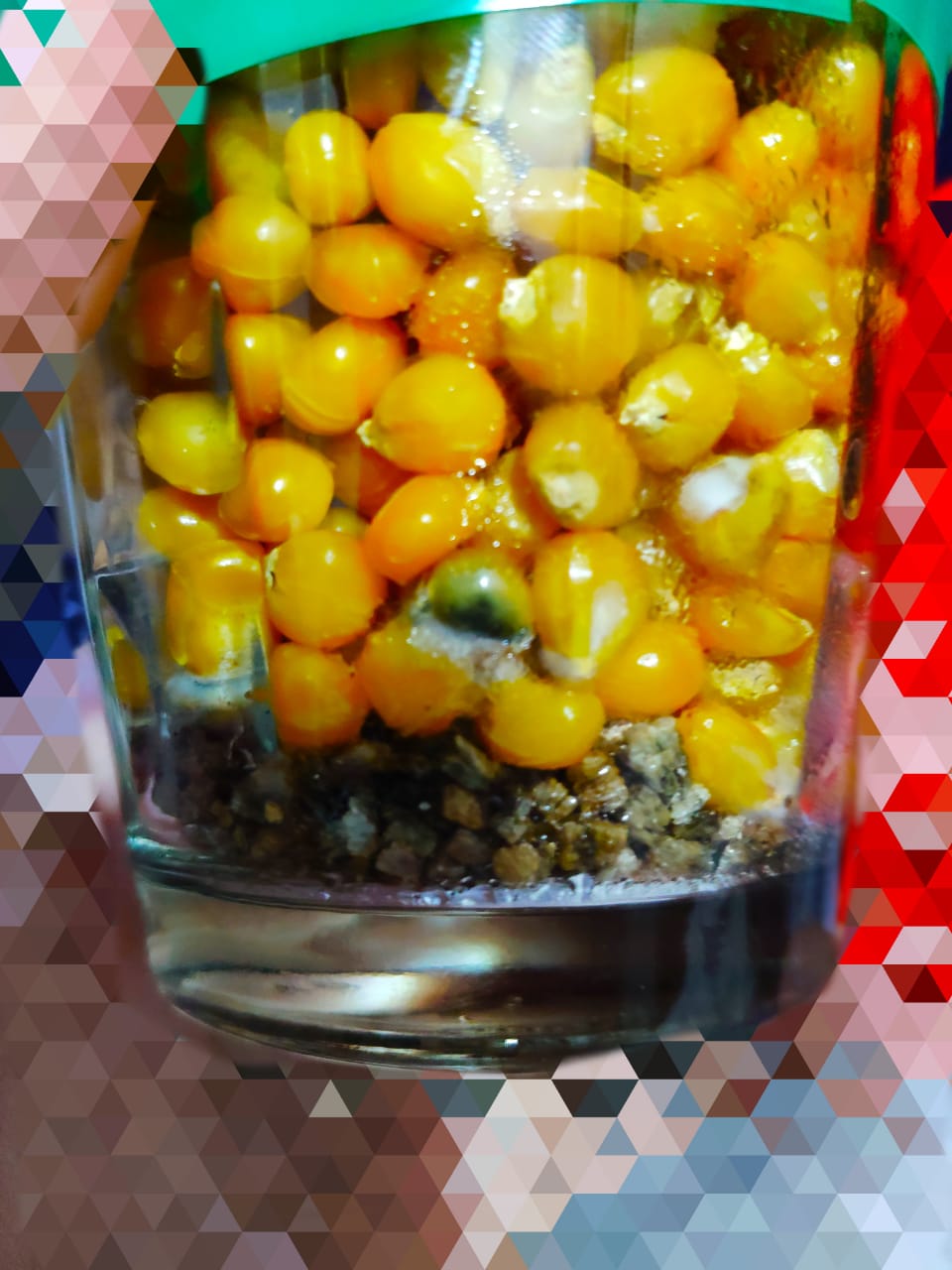 WhatsApp Image 2019-08-24 at 22.57.22.jpeg