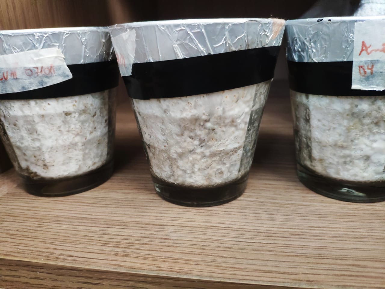 WhatsApp Image 2019-08-30 at 15.09.35.jpeg