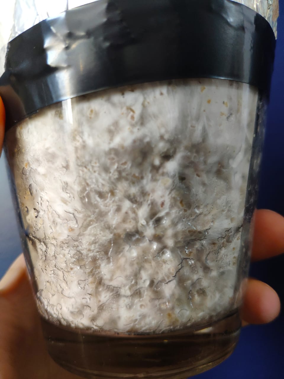 WhatsApp Image 2019-08-30 at 15.10.04.jpeg