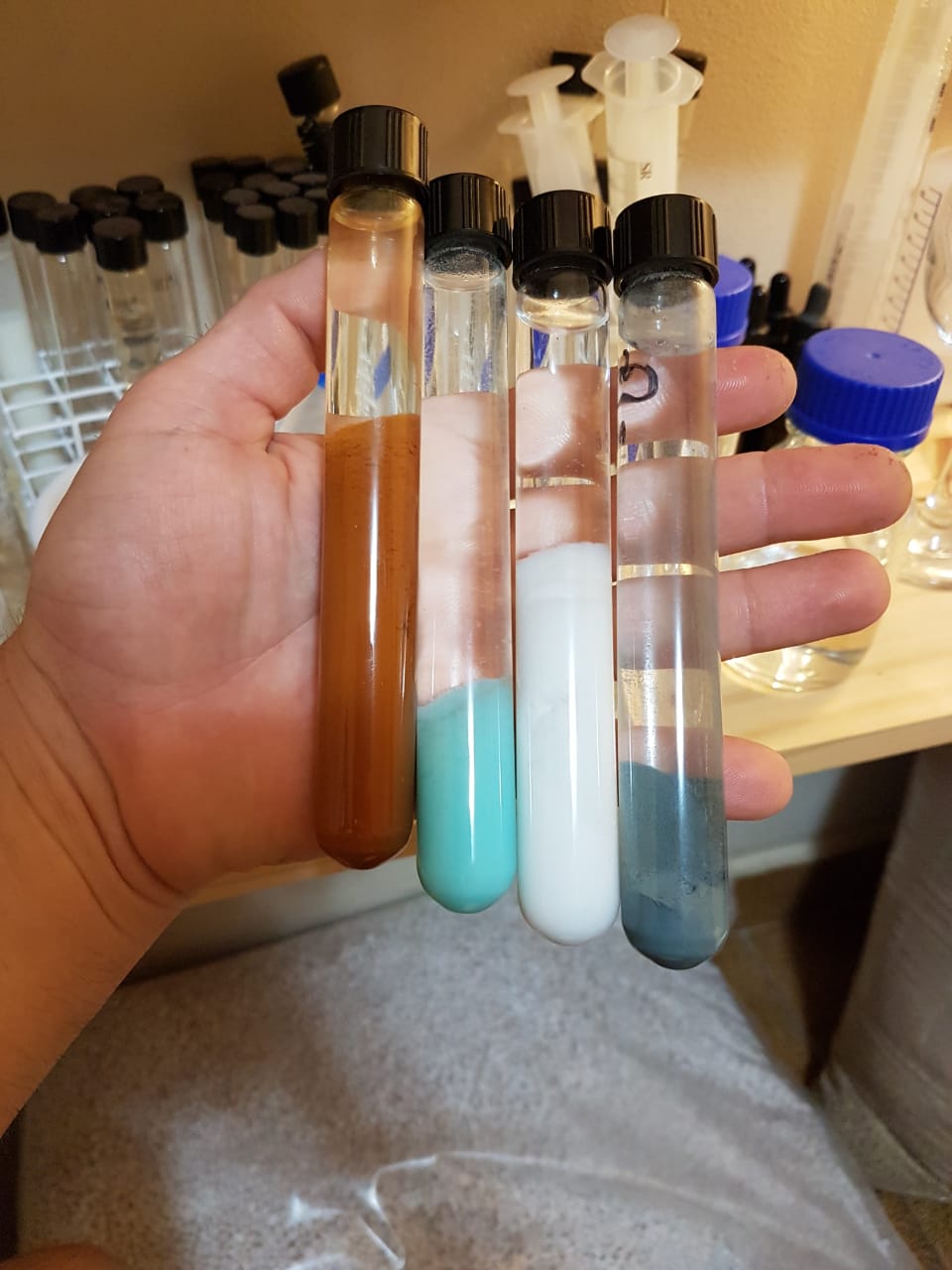 WhatsApp Image 2019-09-05 at 10.36.59.jpeg