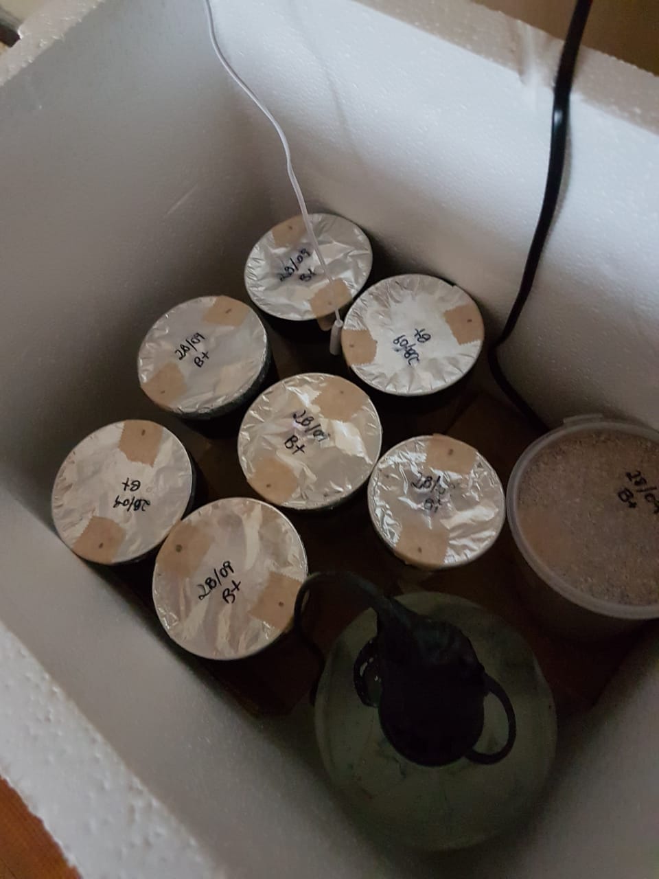 WhatsApp Image 2019-09-08 at 22.58.25(1).jpeg