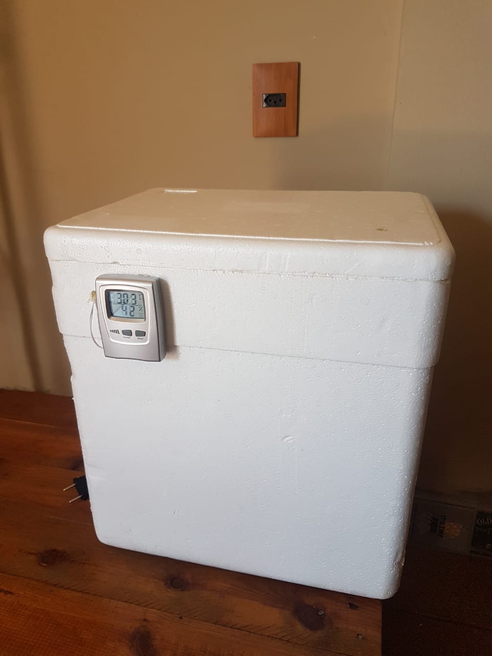 WhatsApp Image 2019-09-09 at 14.55.48.jpeg