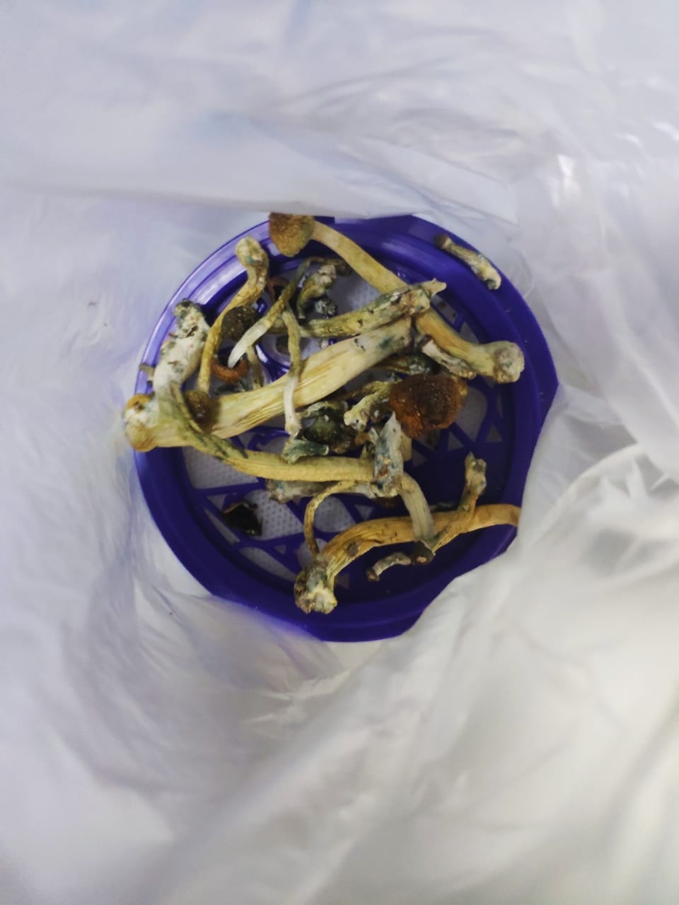 WhatsApp Image 2019-09-18 at 19.05.40.jpeg