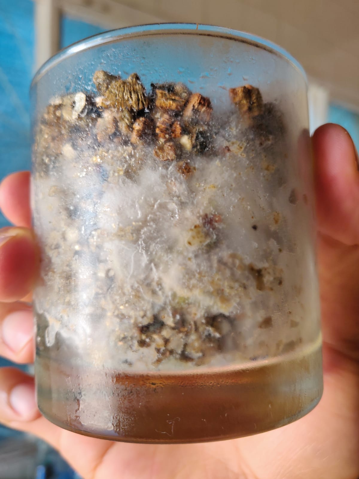 WhatsApp Image 2019-09-25 at 14.32.13.jpeg