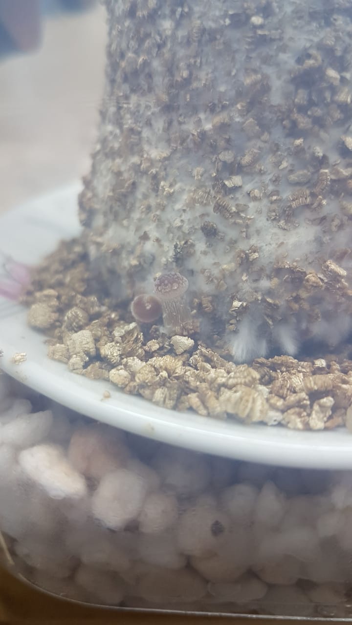 WhatsApp Image 2019-09-30 at 11.53.55.jpeg