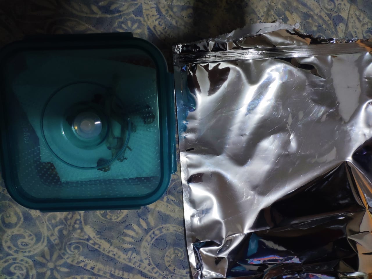 WhatsApp Image 2019-10-02 at 19.55.04.jpeg