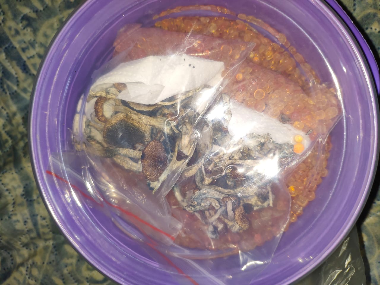 WhatsApp Image 2019-10-02 at 19.55.40.jpeg