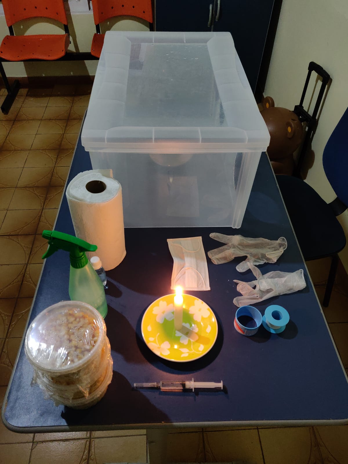 WhatsApp Image 2019-10-03 at 08.15.22 (1).jpeg