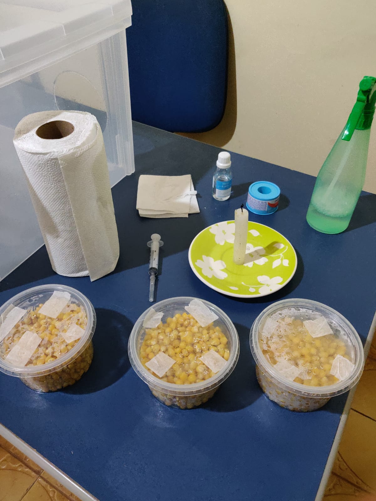 WhatsApp Image 2019-10-03 at 08.15.22.jpeg