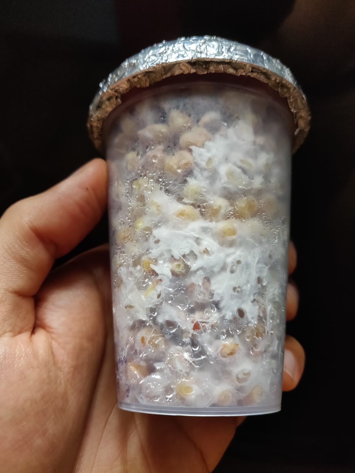 WhatsApp Image 2019-10-24 at 14.00.42 (3).jpeg