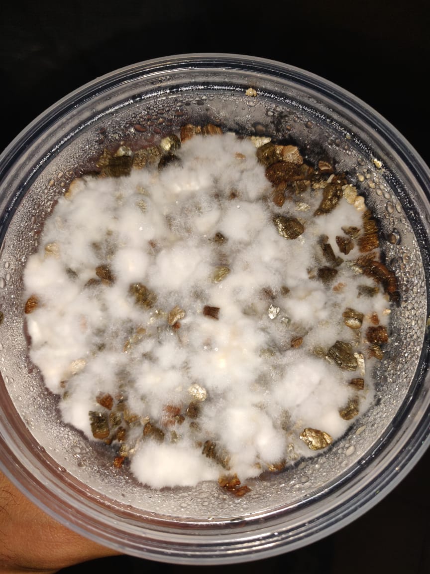 WhatsApp Image 2019-11-11 at 08.09.41 (1).jpeg