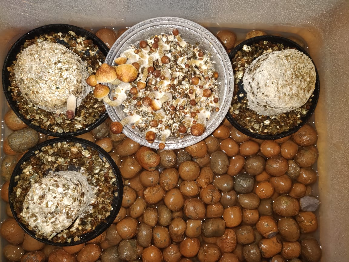 WhatsApp Image 2019-11-11 at 08.09.41 (3).jpeg