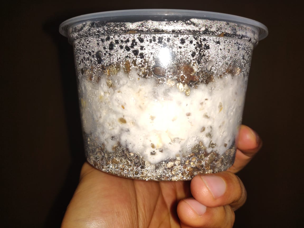 WhatsApp Image 2019-11-11 at 08.09.41.jpeg