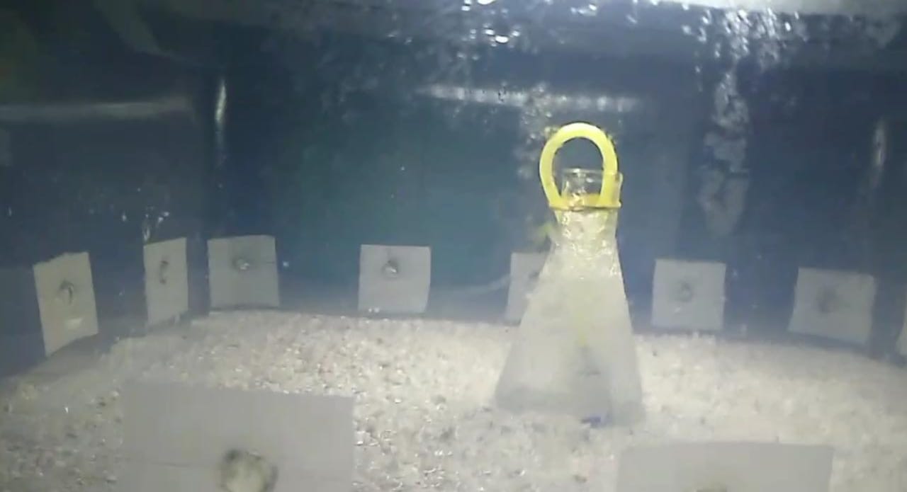 WhatsApp Image 2019-11-13 at 19.19.44.jpeg