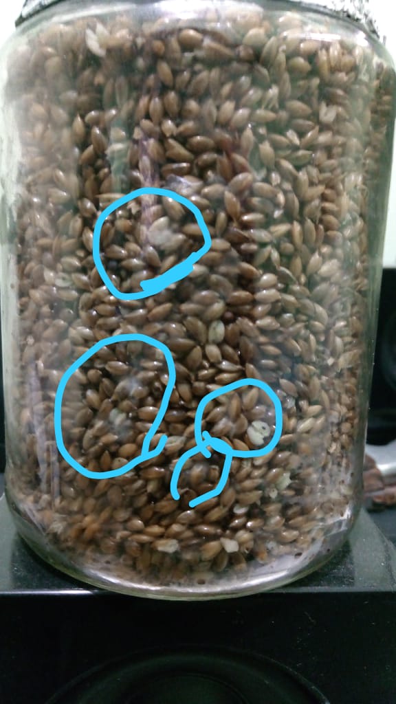 WhatsApp Image 2020-01-08 at 12.21.46.jpeg