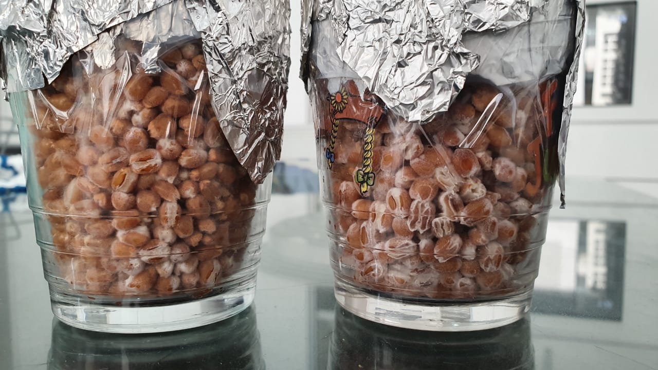 WhatsApp Image 2020-01-09 at 09.41.49 (1).jpeg