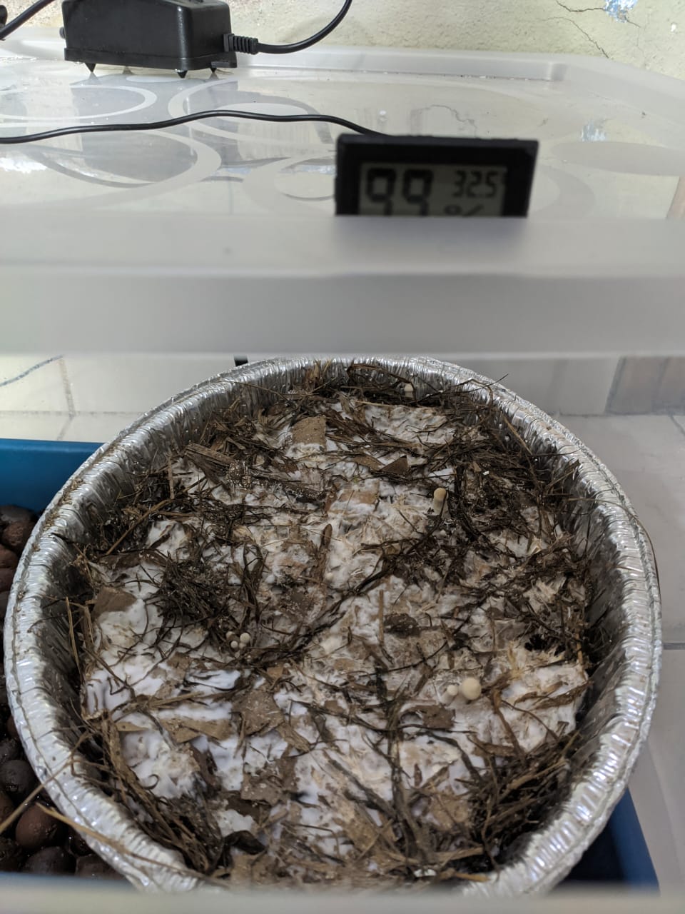 WhatsApp Image 2020-02-05 at 11.41.27 (1).jpeg