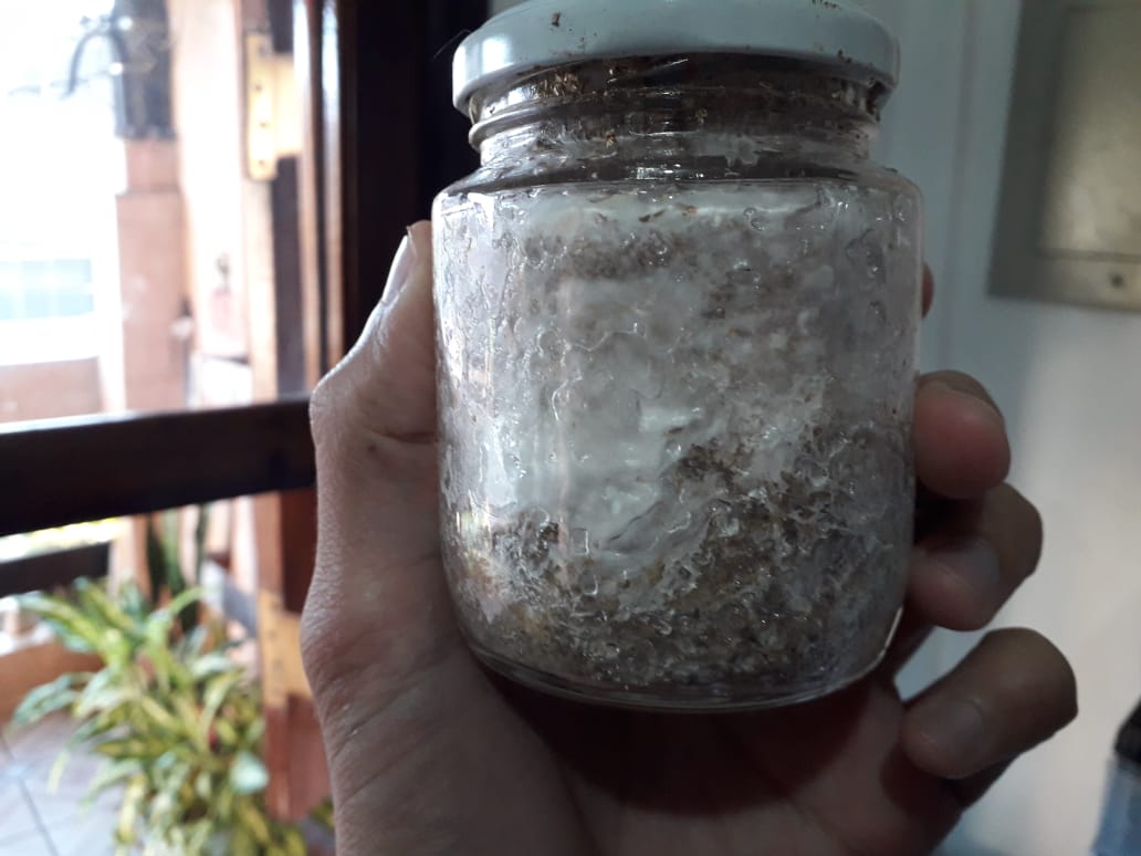 WhatsApp Image 2020-04-10 at 17.12.53 (2).jpeg