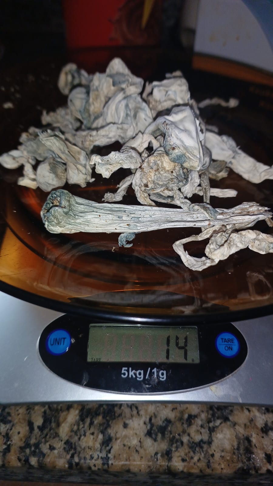 WhatsApp Image 2026-01-17 at 14.02.18.jpeg