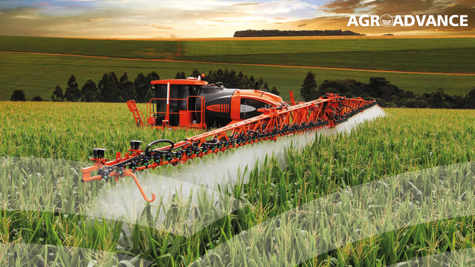 agroadvance.com.br