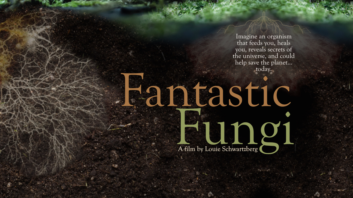 fantasticfungi.com