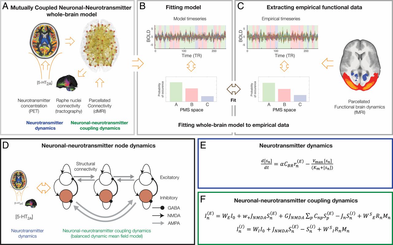 www.pnas.org