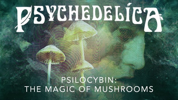 169261_p_e5_psilocybin_the-magic-of-mushrooms_16x9.jpg