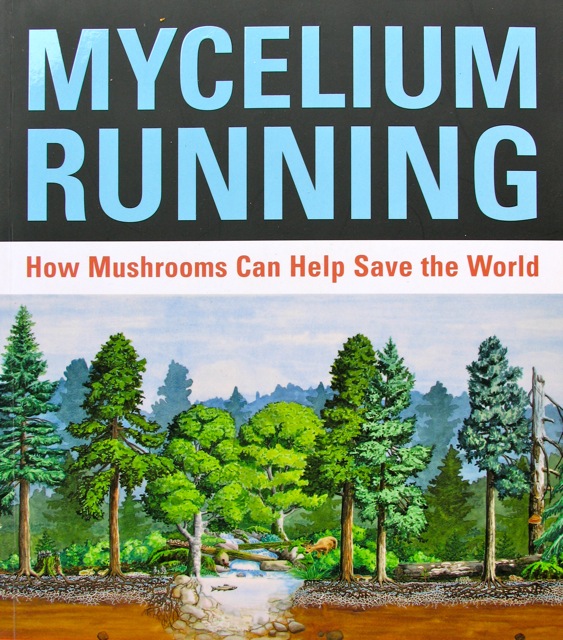Item '[ENG] Mycelium Running - Paul Stamets'